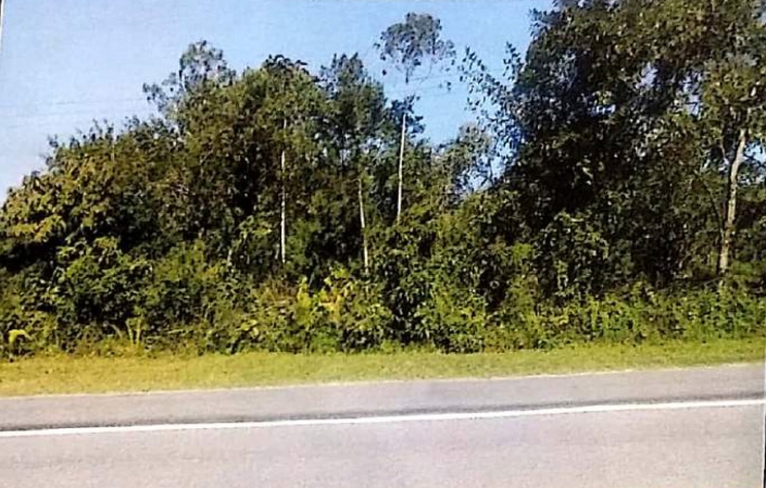 Bertioga (SP) - Terreno - 177.983,00 m² - situada na Fazenda Caroara