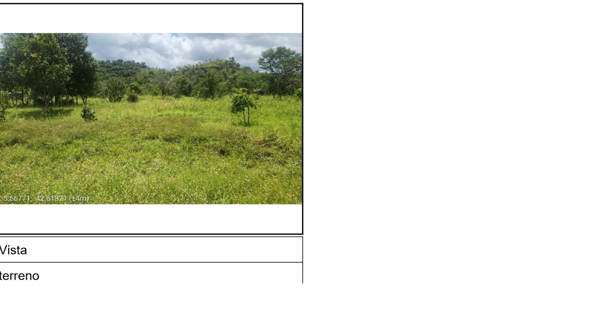 Terreno