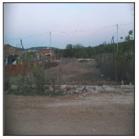 Terreno