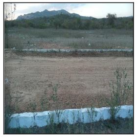 Terreno