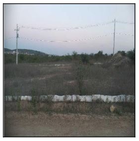 Terreno