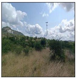 Terreno