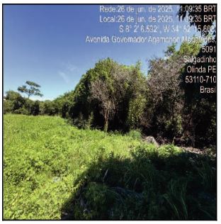Terreno