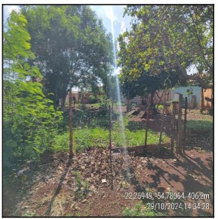 Terreno
