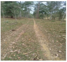 Imóvel rural