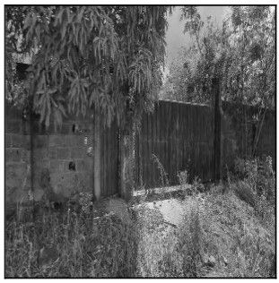 Terreno