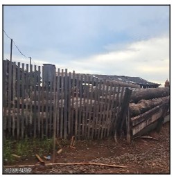 Terreno