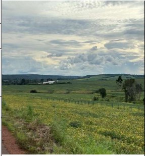 Imóvel rural