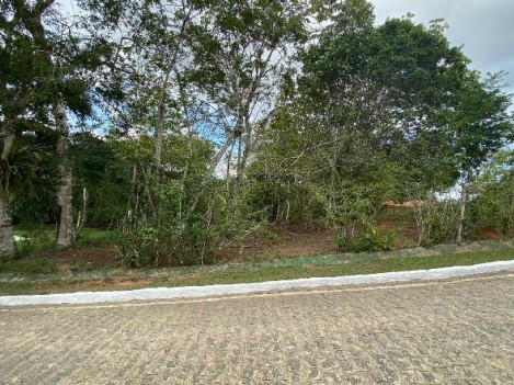 Terreno