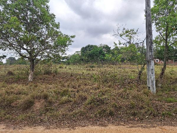 Terreno