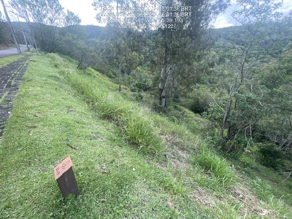 Terreno