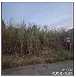 Terreno