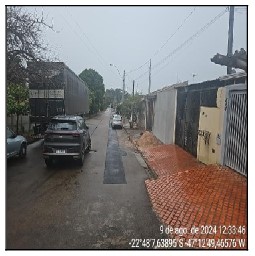 Gleba
