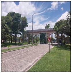 Terreno