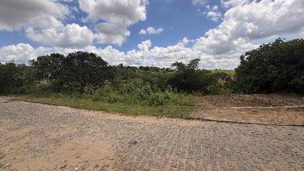 Terreno