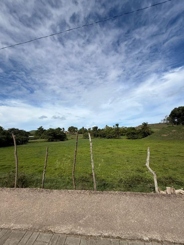Terreno