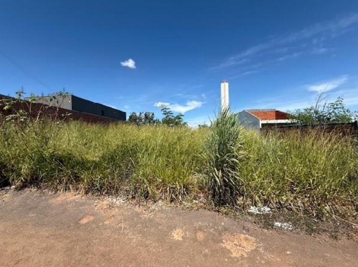Terreno