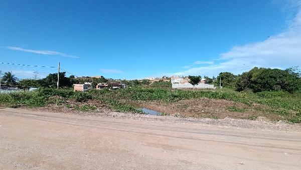 Terreno