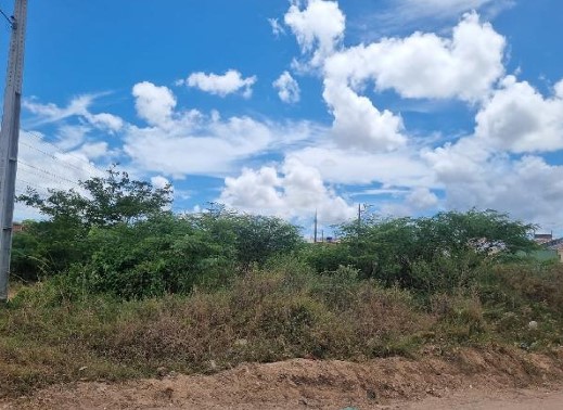 Terreno