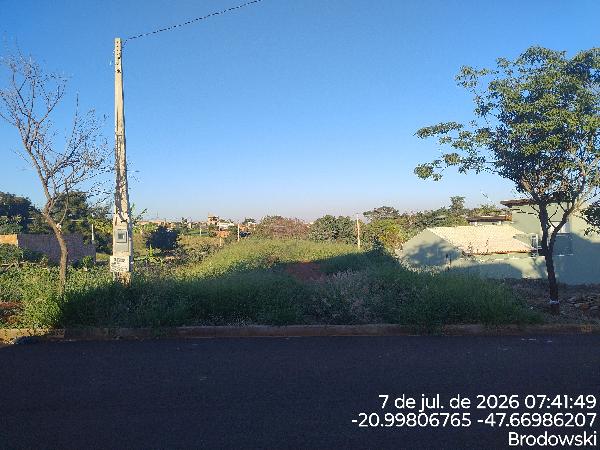 Terreno