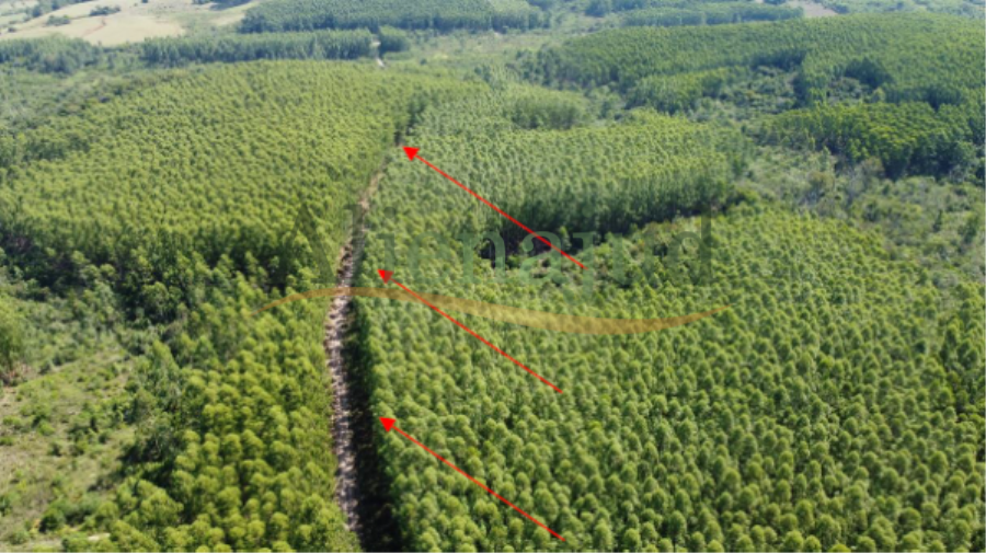 Uma área de terras com 500.000,00m² situado em Bom Retiro do Sul/RS - São Paulo/SP