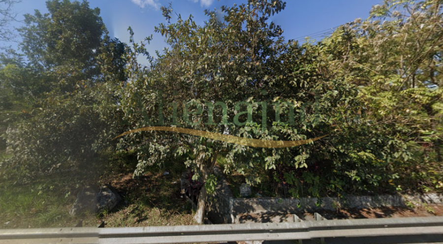 LOTE 100 - Uma gleba de terras c/ 48.400,00m² - Jordanésia - Cajamar/SP - Cajamar/SP