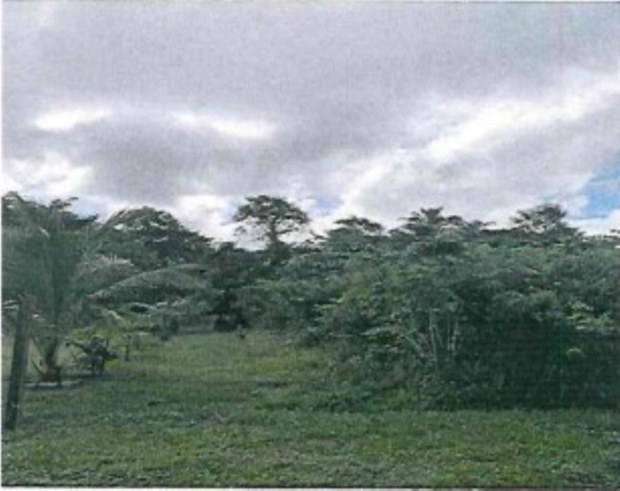 Lote de Terras | Área de 800,00m² e Perímetro de 120,00m | Bairro do Jacarezinho | Itacoatiara/AM - Itacoatiara/AM