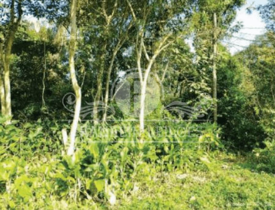 Parte Ideal 50% terreno lote 28 280,00m² - Jd. Coronel - Itanhaém - Itanhaém/SP