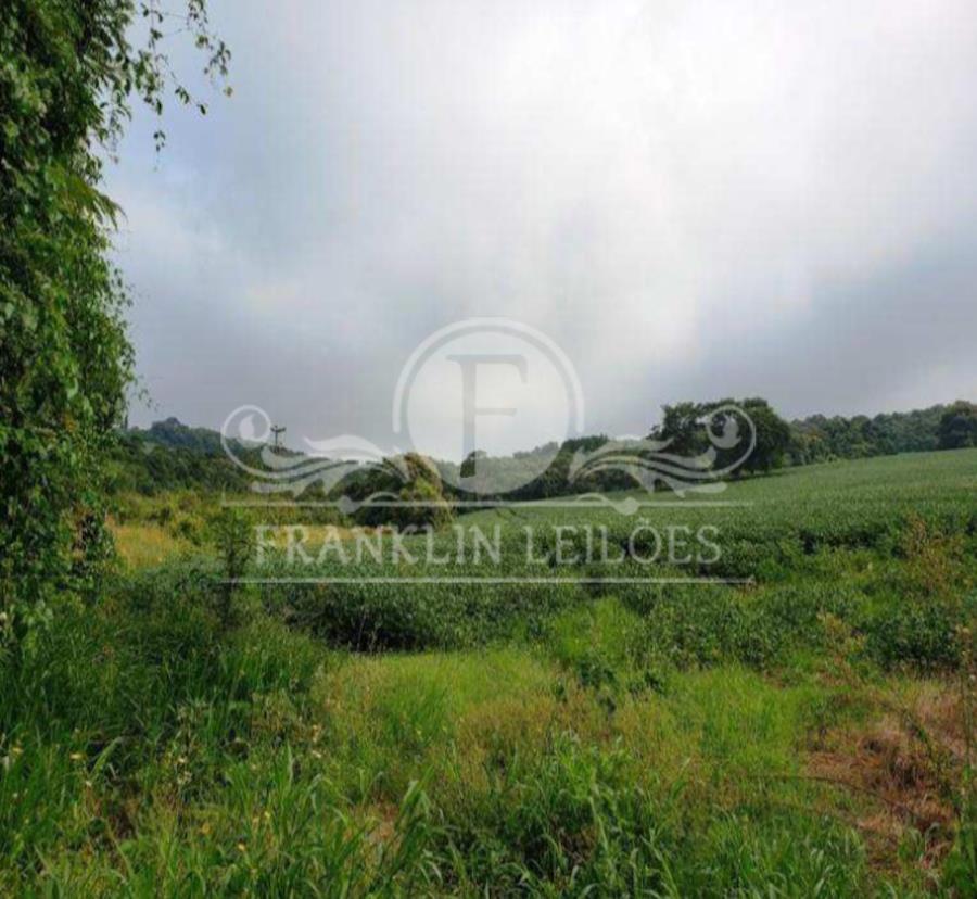 Terreno 11,59 Hectares - Capão Bonito - Capão Bonito/SP