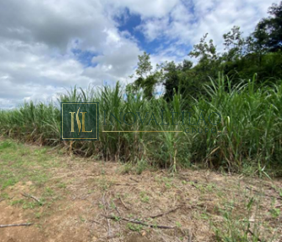 Fazenda Nossa Senhora c/ 60ha - Timbauba