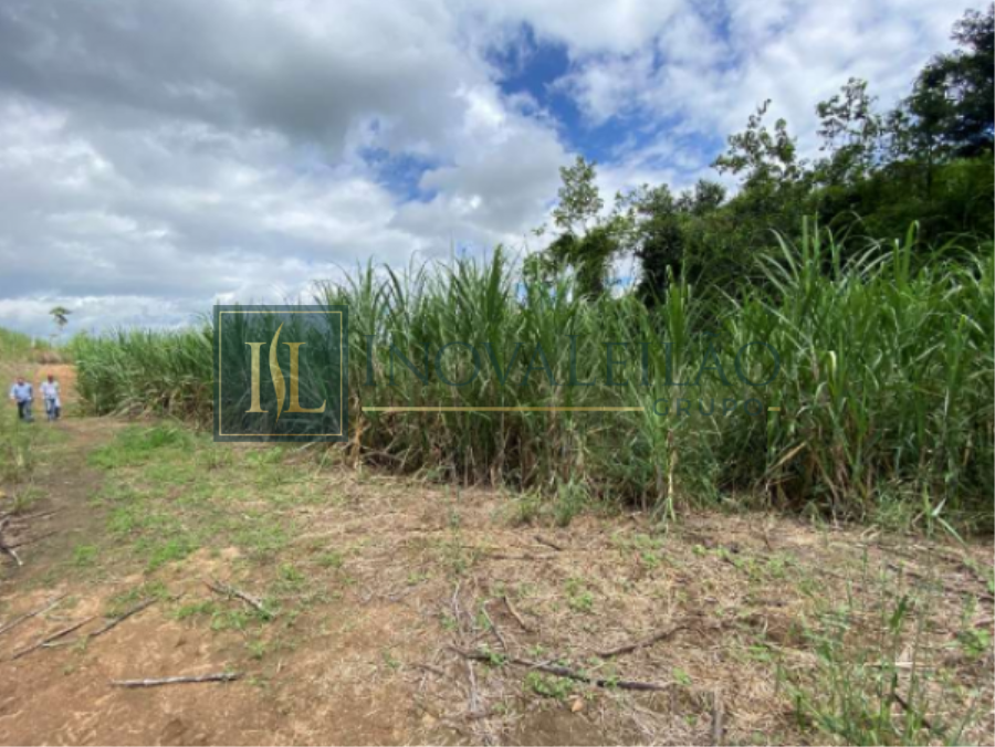 Fazenda Nossa Senhora c/ 60ha - Timbaúba