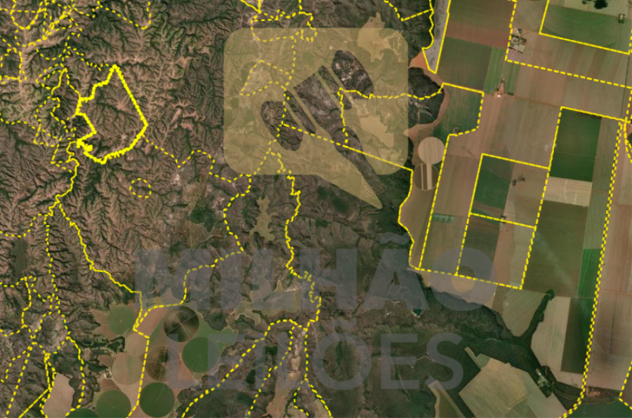 Fazenda Manabuiu com 131,77 ha - Lagamar/MG