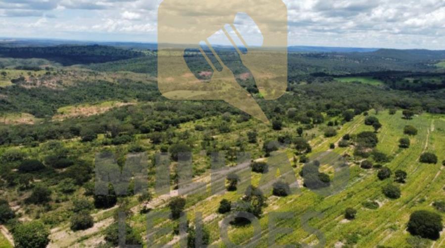 Fazenda de 200ha em Presidente Olegário - Presidente Olegário/MG