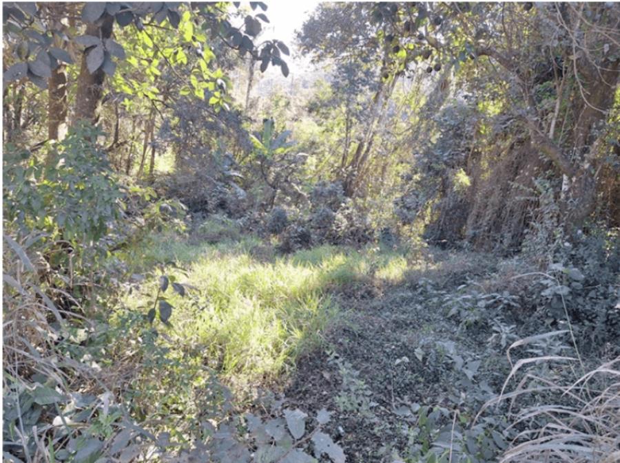 JARINU- LOTE DE TERRENO COM 729,43M³