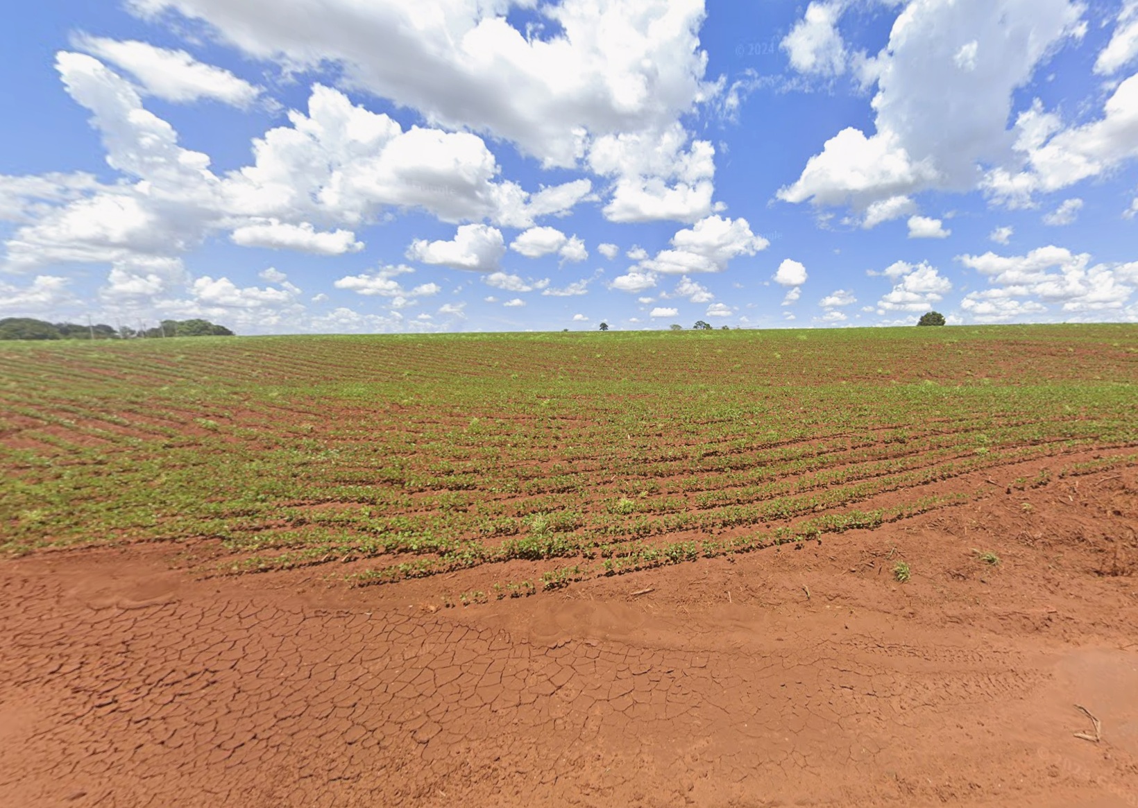 Imóvel Rural