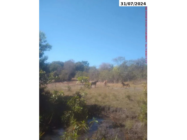 Sítio com 74,84 ha - Campinaçu/GO
