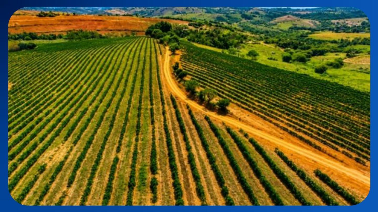 GLEBA DE TERRAS - LUGAR VINTE HORAS, BR-265, NEPOMUCENO/MG, ÁREA DE 188,00 HECTARES (1.880.000M²) COM BENFEITORIAS