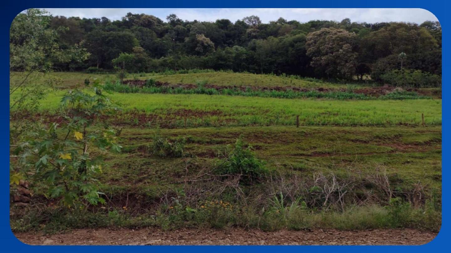 SÍTIO - LOTE RURAL Nº 178, GLEBA 33-AM, NÚCLEO AMPÉRE, COLÔNIA MISSÕES, SANTA IZABEL DO OESTE/PR, ÁREA DE 29.000M²
