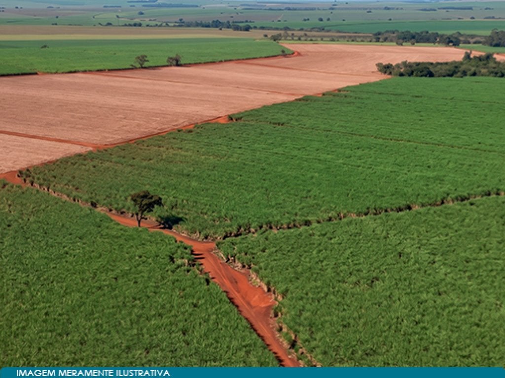 Imóvel Rural 59 ha (Estância Palmital)