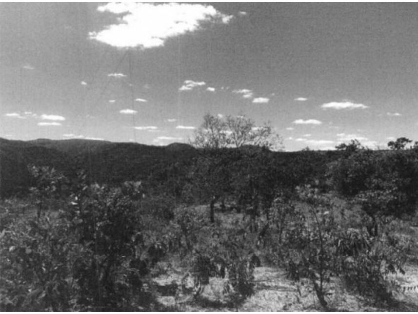 Área Rural