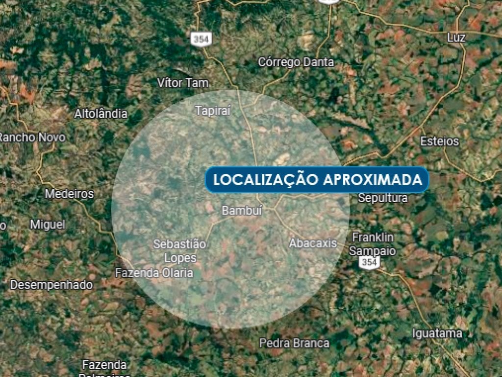 Área 81 ha