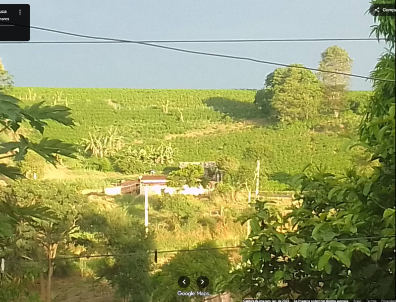 FAZENDA MUMBUCA em Conde/Bahia