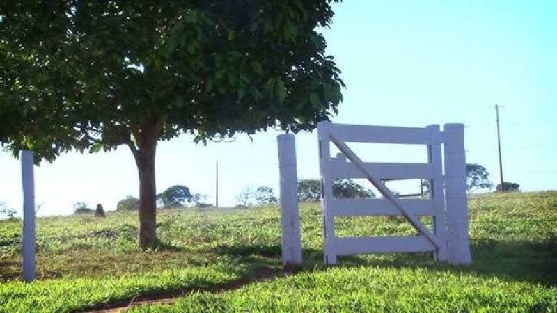 FAZENDA BOM SUCESSO/GO