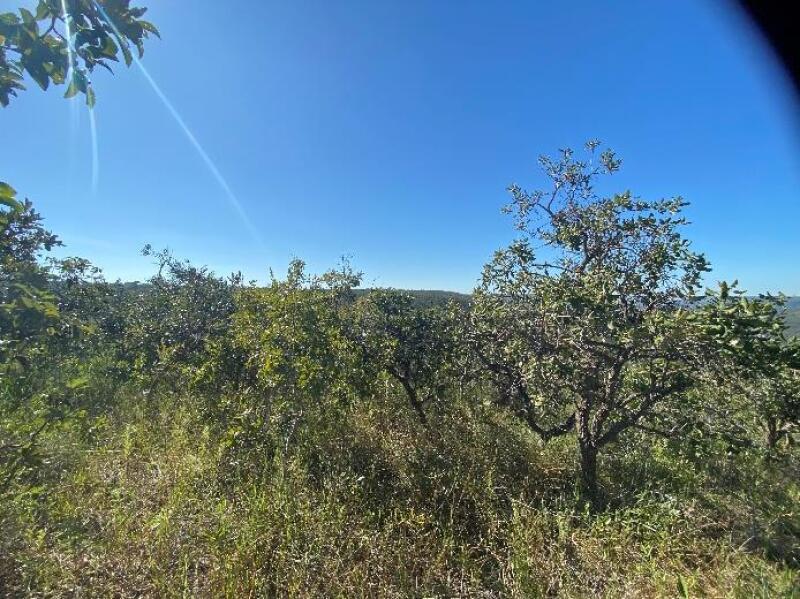 Fazenda São Domingos, área de mais de 300ha, Buritis/MG
