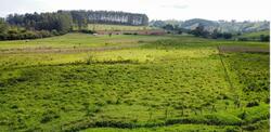 IMÓVEL RURAL | 0300,00HA | DENOMINADO ''CONGONHAL'' | CAMPO BELO/MG