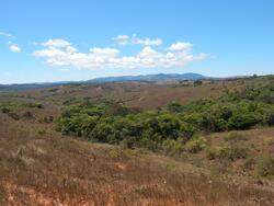 FAZENDA CAMPINAS APROXIMADAMENTE 90HA EM CRUZÍLIA /MG