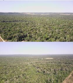 Área de terras com 1.004,1282 ha, denominada “Fazenda Santo Antônio”, situada no município de Juína/MT