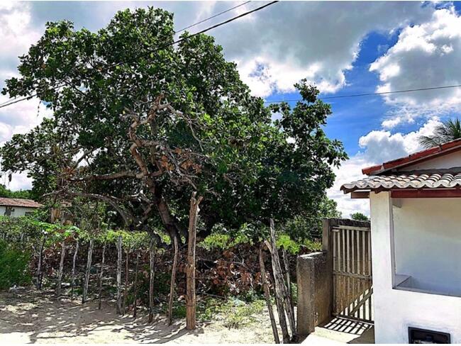 Casa 55m² - Terreno 1.500m² - Tangará/RN