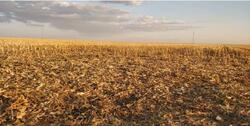 01 imóvel rural, Fazenda Recreio, com área de 414,2926ha, localizada dentro dos limites da Gleba Juína III, no município de Campos de Júlio/MT