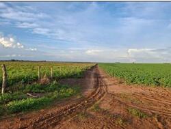01 imóvel rural, denominado Fazenda Recreio, com área de 414,2926ha, localizada dentro dos limites da Gleba Juína III, no município de Campos de Júlio/MT